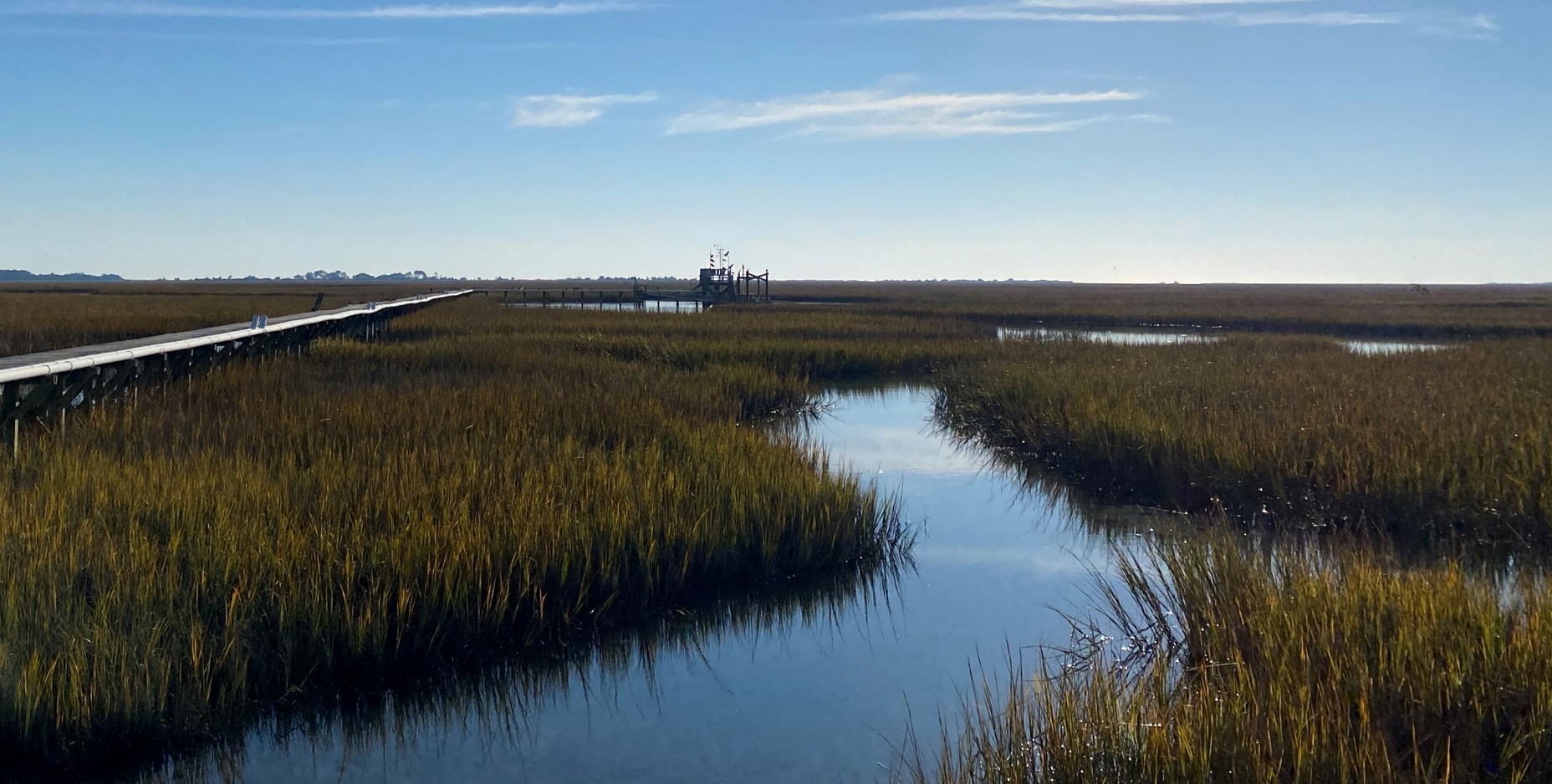 Estuary Image