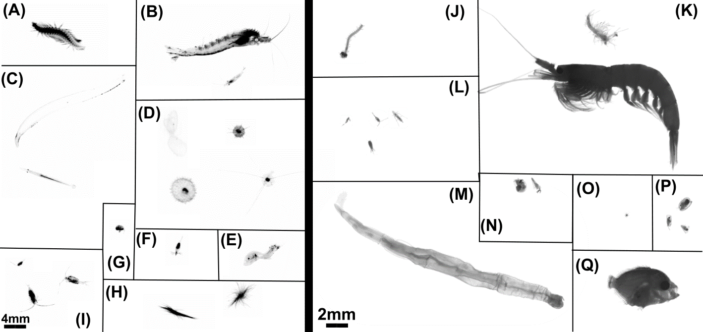 Comparison Figure